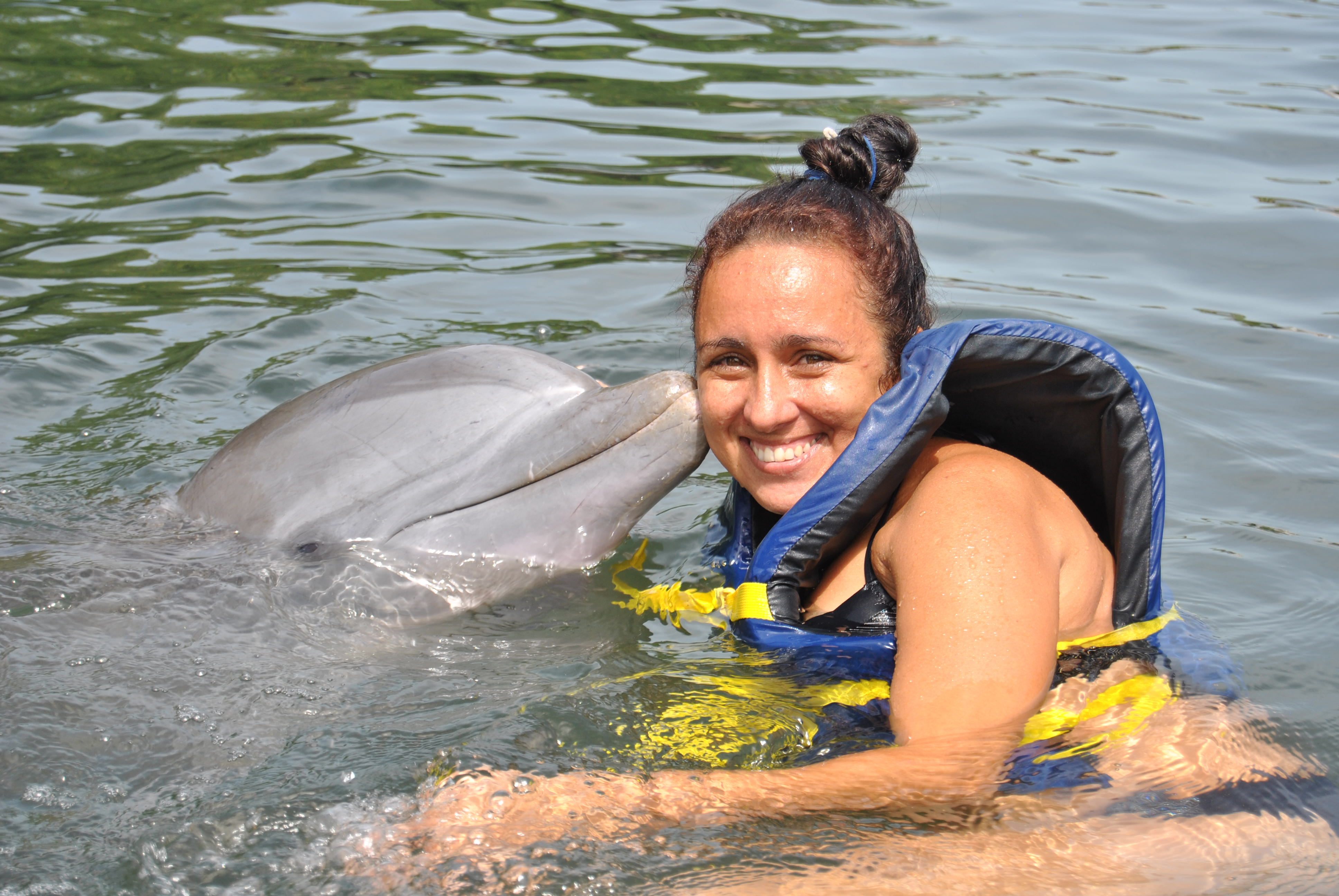 Baño con Delfines.Cienfuegos. Cuba Travel Baño con Delfines.Cienfuegos. Cuba Travel